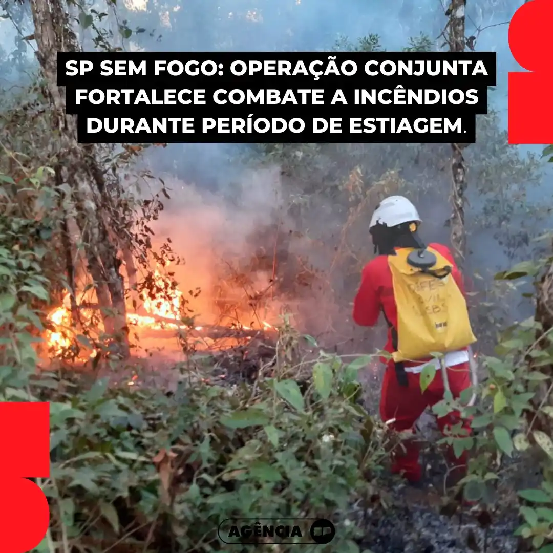 Image from Governo de São Paulo: *Operação SP Sem Fogo reforça prevenção* SP intensifica o combate ao...