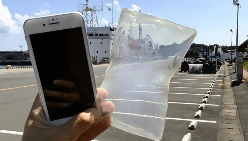 Image from Food Industry Connect by FW Africa: Researchers from Japan’s Agency for Marine-Earth Science and Technolog...
