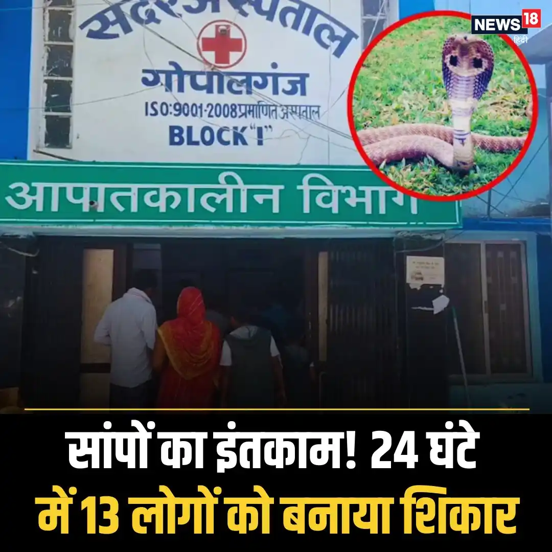 Image from News18 India: *सांपों ने किया कहर, गोपालगंज में हड़कंप मचा, जानिए कारण* पूरी खबर पढ...