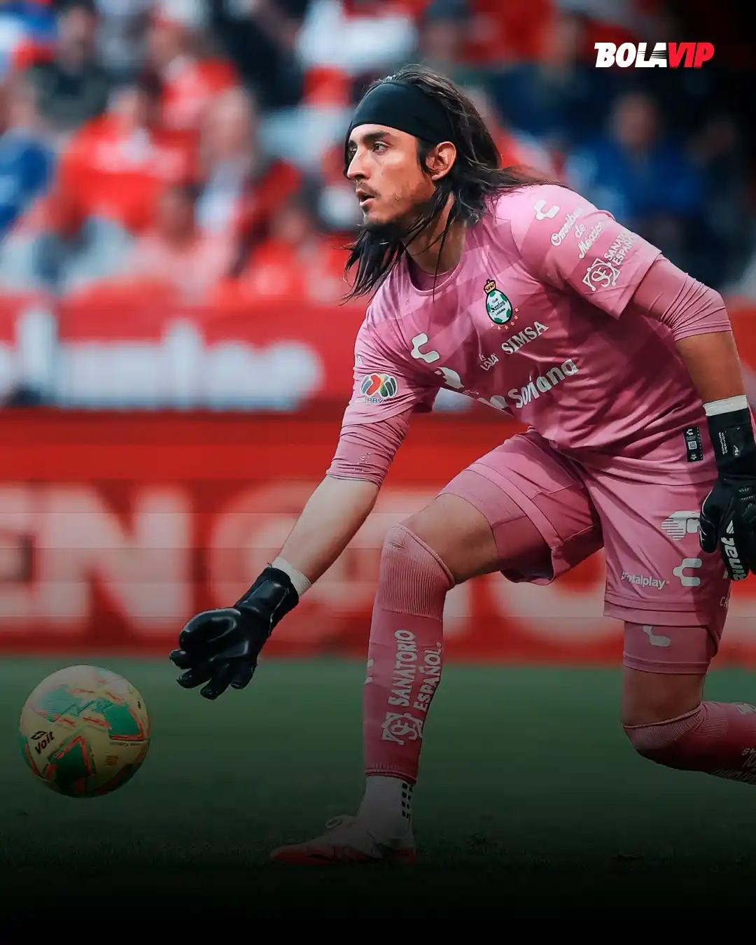 Image from Bolavip | Santos: SE QUEDA, PEROOOOO...🥹 Acevedo ya acabó con el rumor de su salida, d...