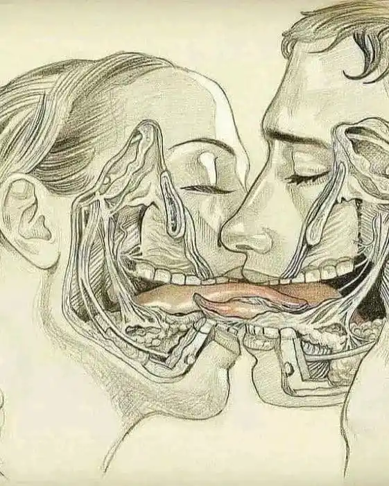 Daily Dose |PressHere2Follow post