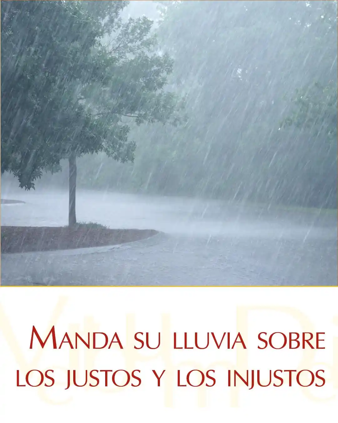 Image from VaticanNewsES: <a class="text-blue-500 hover:underline cursor-pointer" href="/hashtag...