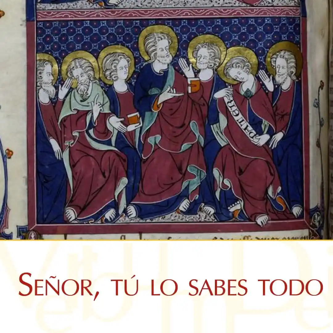 Image from VaticanNewsES: <a class="text-blue-500 hover:underline cursor-pointer" href="/hashtag...