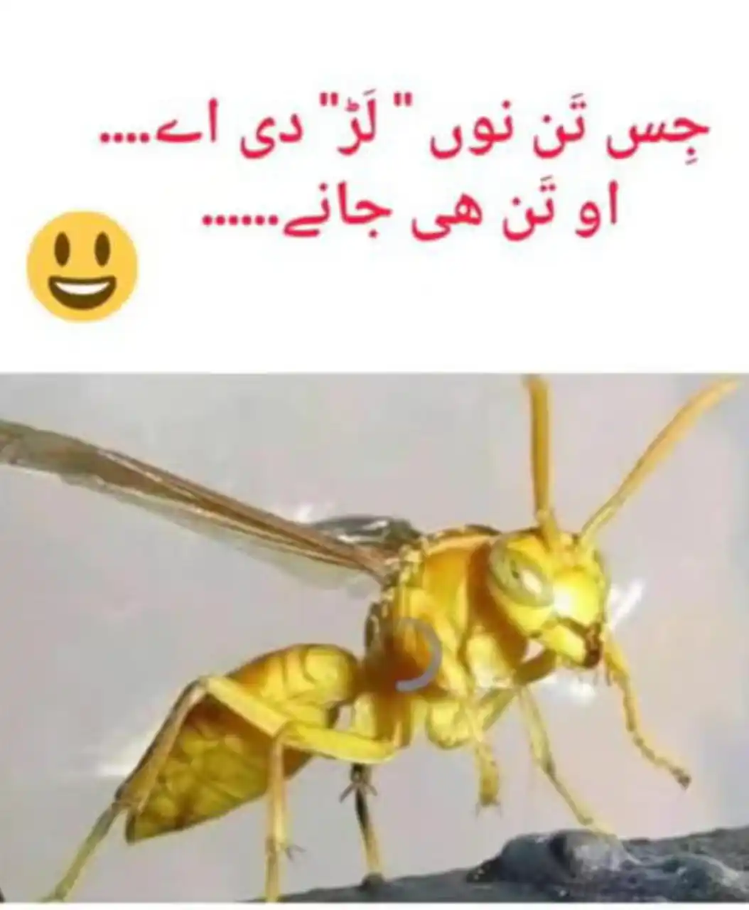 𝐅𝐮𝐧 𝐉𝐨𝐤𝐞𝐬 😂 post