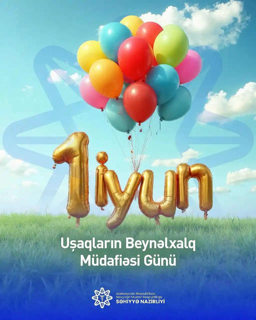 Naxçıvan MR Səhiyyə Nazirliyi post