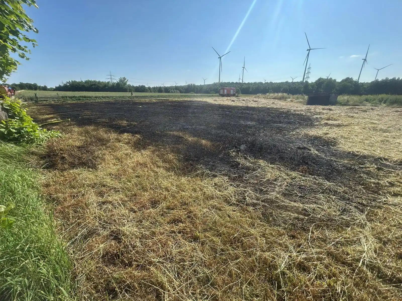 Image from Freiwillige Feuerwehr Grevenbroich - Einheit 24 Gustorf/Gindorf: 📟 Feldbrand 🔎 brennt 5x5m , ausbreitend 🚨 2025 / 052 🗓️ 19.06.2025...