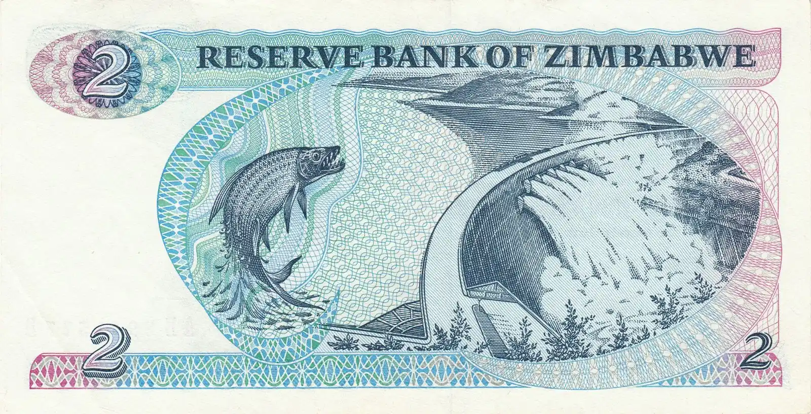 Image from Zimpricecheck.com: For comparison here is the old $2 ZWD note....