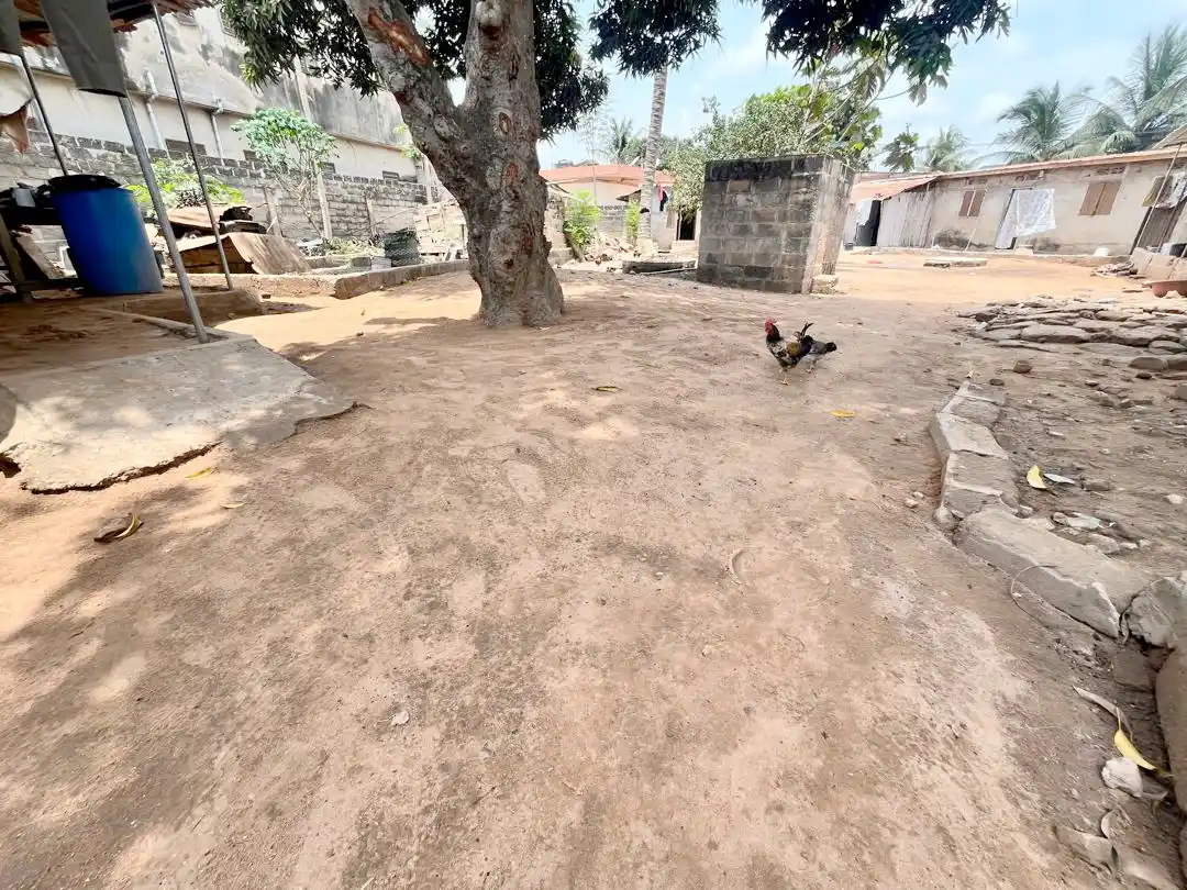 FlashImmo by ImmoAsk post