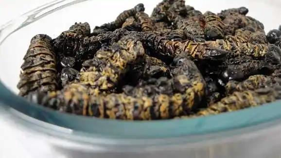 Image from Zimpricecheck.com: 🌿 Madora prices have gone up again in the market, although they are s...