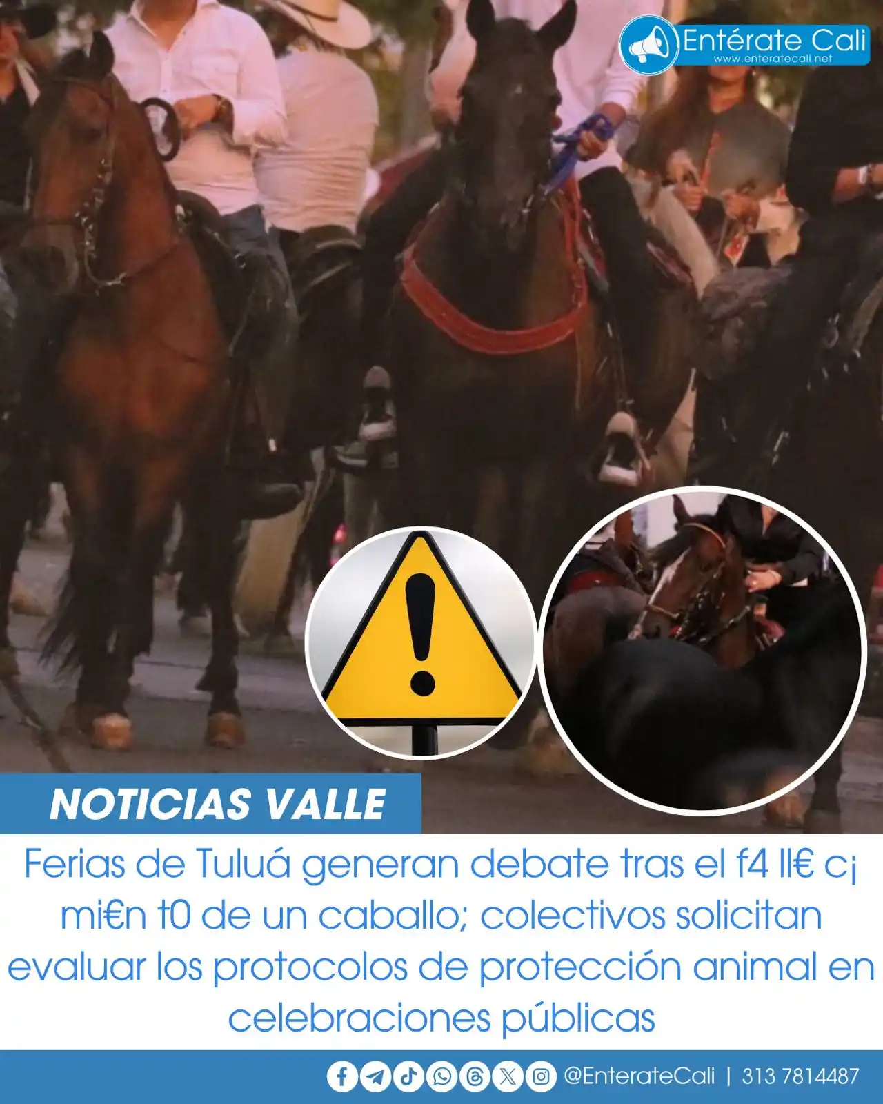 Image from Entérate Cali: Un caballo colapsó en plena vía durante la cabalgata inaugural de las ...