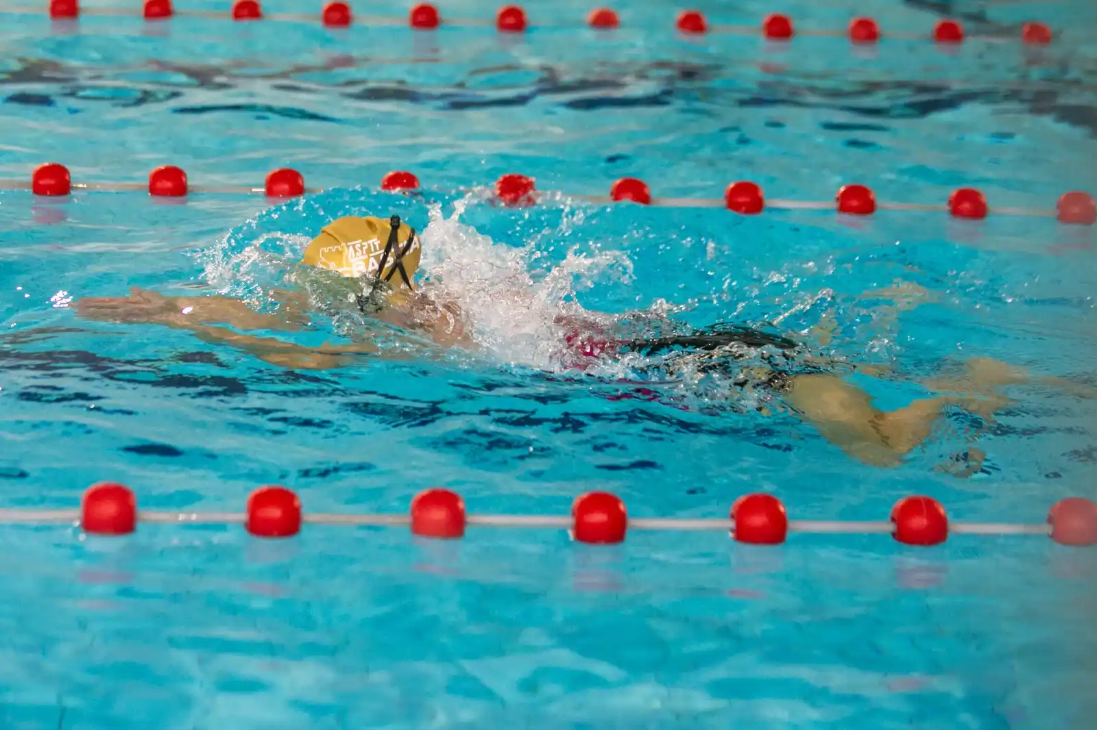 Image from Corse-Matin: Une nouvelle piscine intercommunale en projet dans le centre-ville de ...