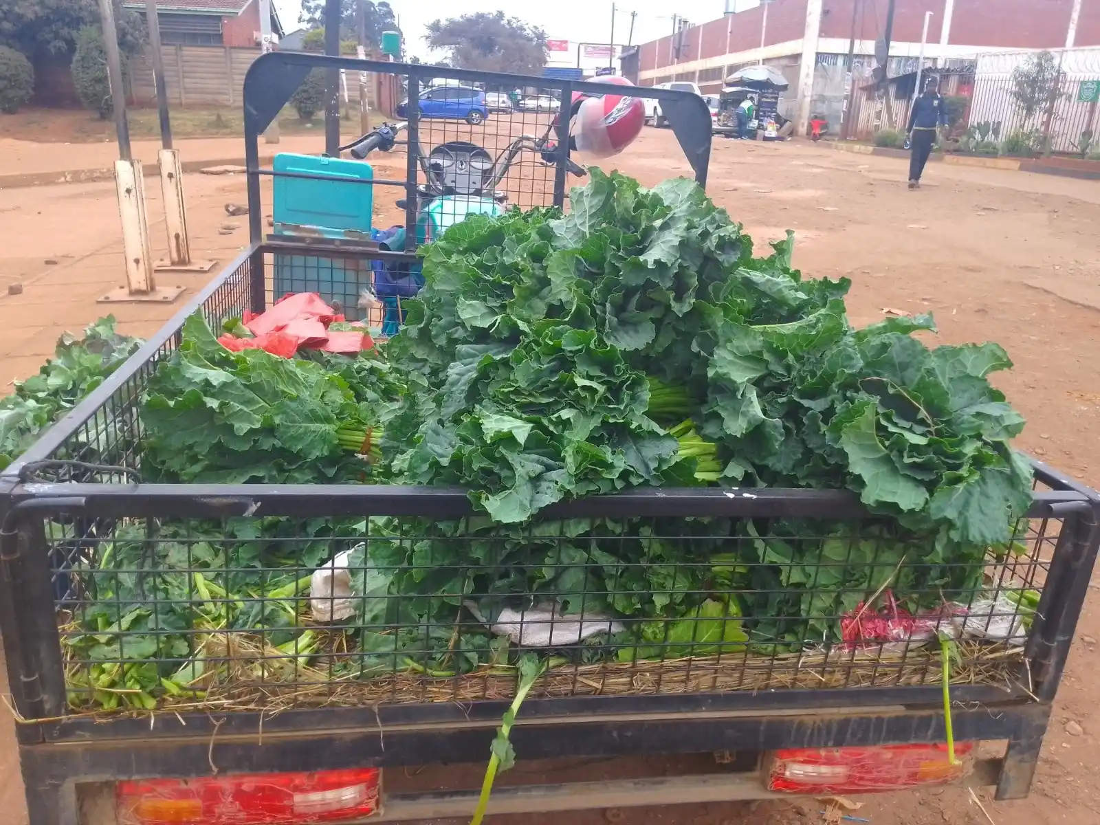 Image from Zimpricecheck.com: We are now in the heart of winter, and the price of leafy vegetables l...
