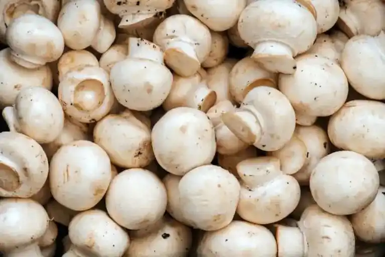 Image from Zimpricecheck.com: When it comes to mushrooms, Zimbabwe is a bit of an anomaly. Worldwide...