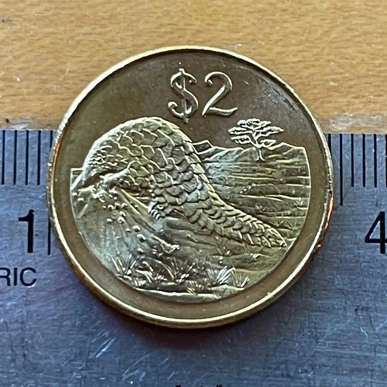 Image from Zimpricecheck.com: Zimbabwe has seen numerous currency changes over the years, with many ...