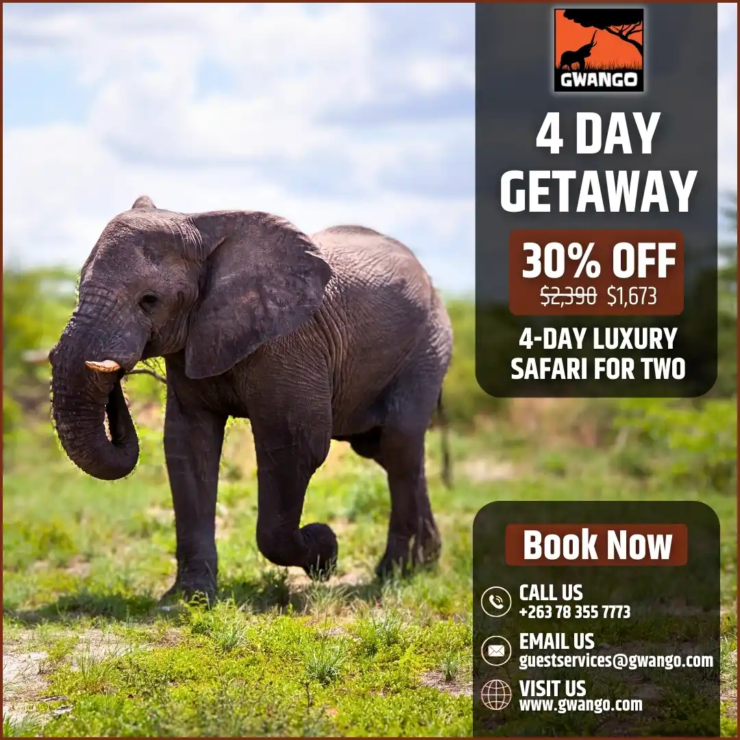 Image from Gwango Africa: Experience a 4-day Getaway in Africa at <a class="text-blue-500 hover:...