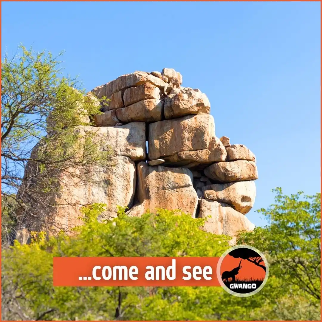 Image from Gwango Africa: Have you explored <a class="text-blue-500 hover:underline cursor-point...