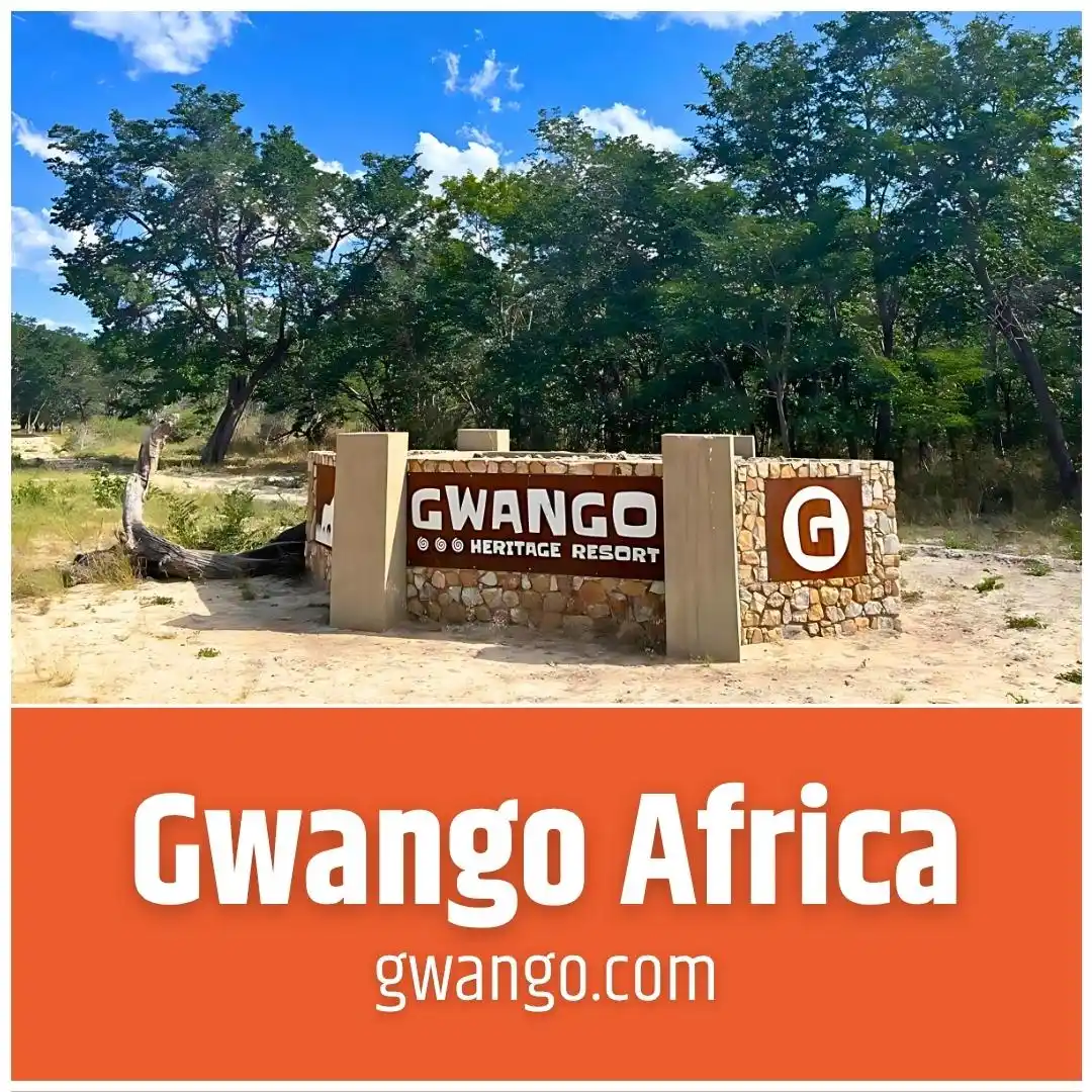 Image from Gwango Africa: Join the <a class="text-blue-500 hover:underline cursor-pointer" href=...