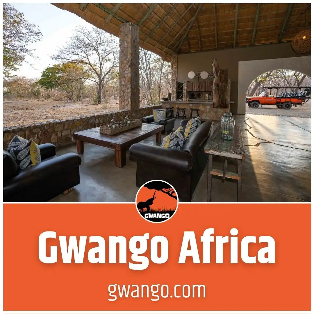 Image from Gwango Africa: Join the <a class="text-blue-500 hover:underline cursor-pointer" href=...