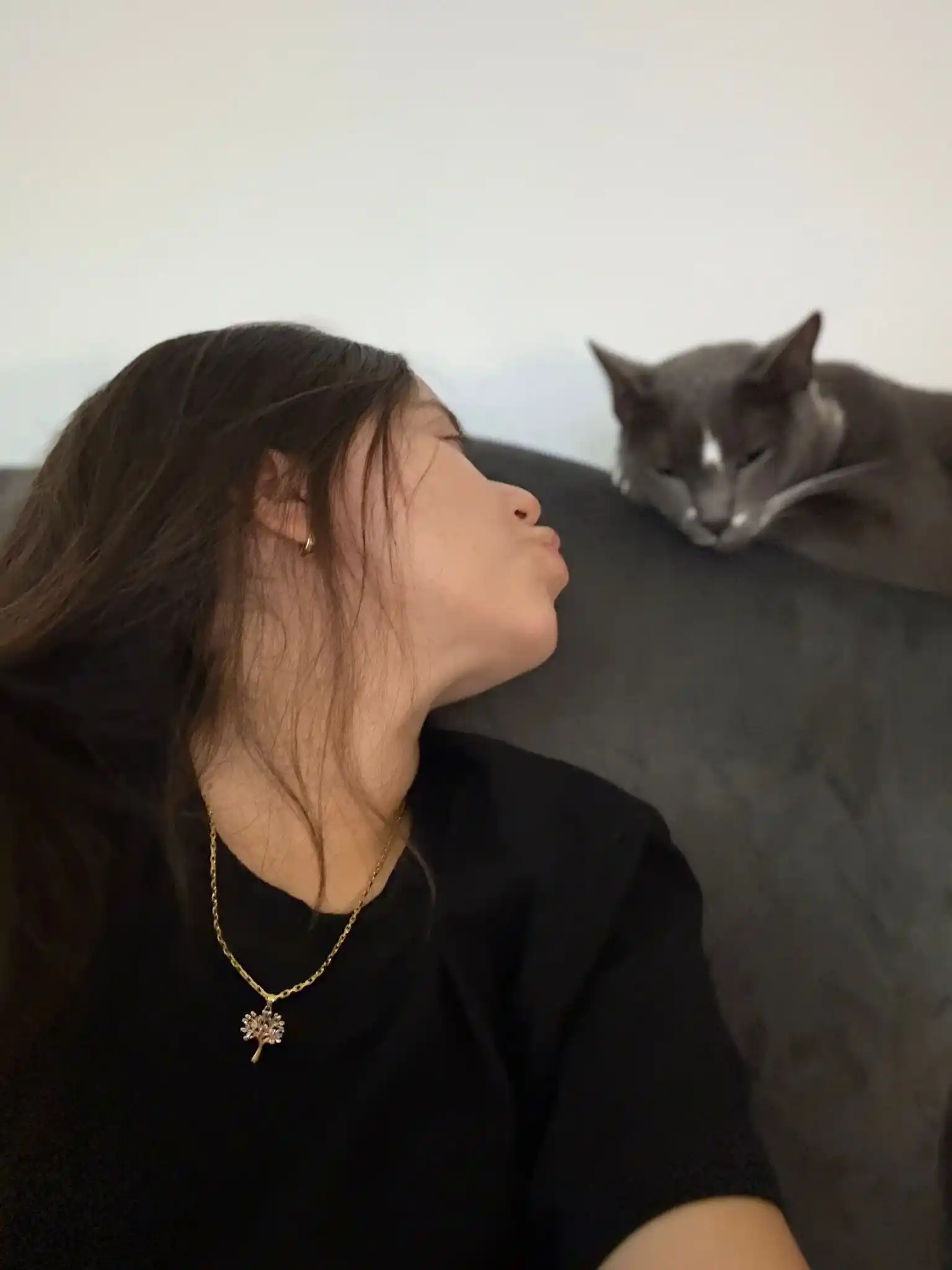 Image from MEJORANDO HÁBITOS CON LAU: Mi gatito Romeo es lo más hermoso 🤍🤍🤍🤍 siempre está cerca de mí....