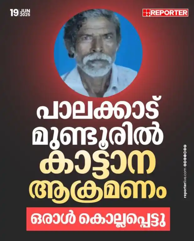 Image from സത്യത്തിൻ്റെ പാതയിലൂടെ നന്മയുടെ പൂക്കൾ ചിരിച്ചുംചിന്തിച്ചും കാണാം കേൾക്കാം മനസ്സിലാക്കാം: *പാലക്കാട് വീണ്ടും കാട്ടാന ആക്രമണം; ഒരാള് മരിച്ചു* *പാലക്കാട് :* ...