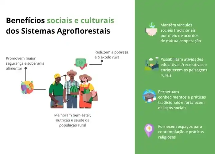 Image from Ater+ Digital: 👨🏽🌾🌾 *Tradição, saberes e trabalho coletivo!* Os sistemas agroflo...