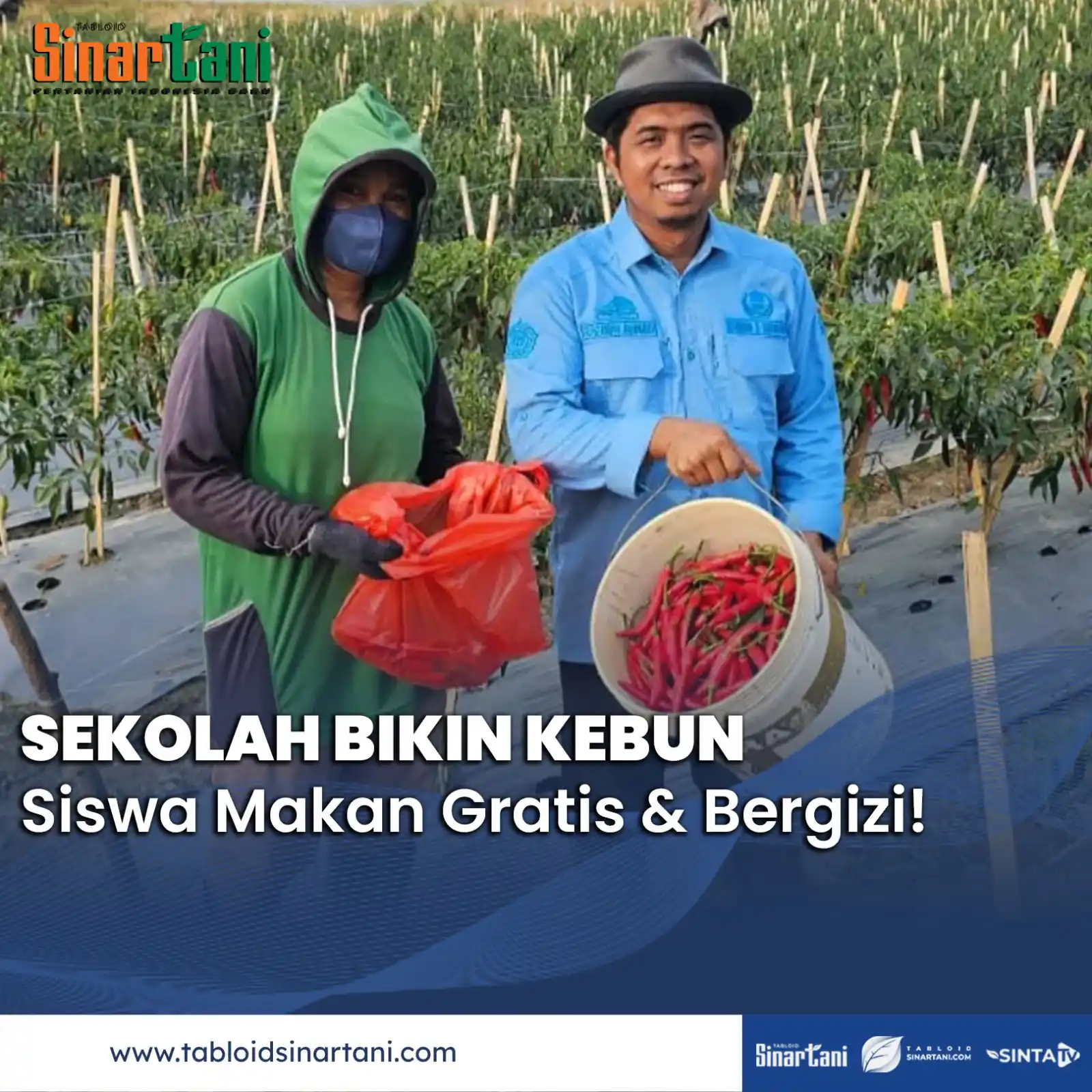 Image from Tabloid Sinar Tani: Di SMKN 3 Sidrap, makan sehat bukan sekadar teori! Mereka tanam cabai ...