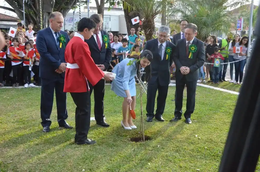 Image from g1 Bauru e Marília: 🎎 *Dia da imigração japonesa* Bauru e Marília impulsionam cultura ori...