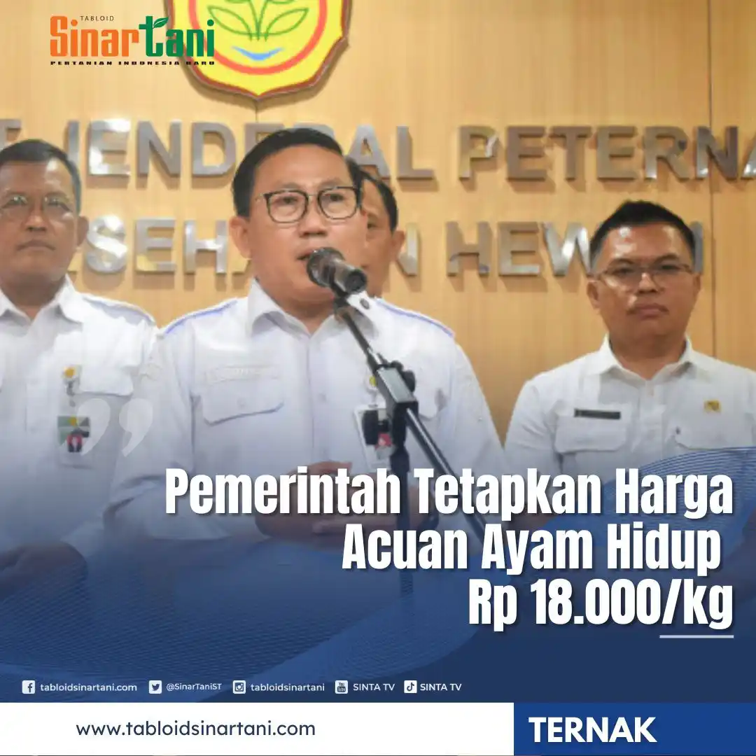 Image from Tabloid Sinar Tani: Harga Ayam Naik! Peternak Kecil Akhirnya Dilindungi Negara https://ta...