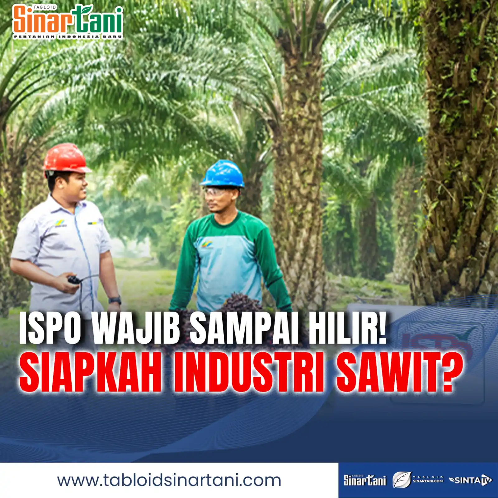 Image from Tabloid Sinar Tani: Pemerintah resmi memperluas cakupan Indonesian Sustainable Palm Oil (I...