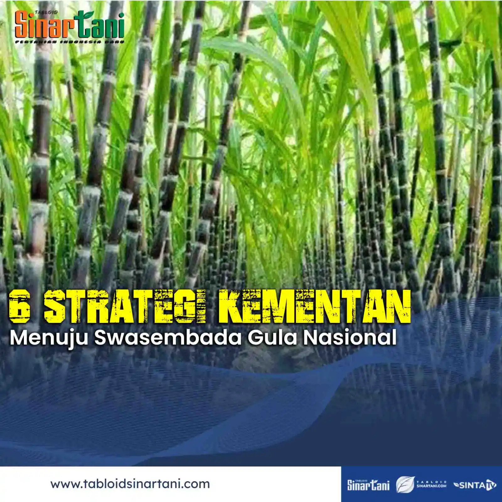 Image from Tabloid Sinar Tani: Pemerintah tancap gas wujudkan Swasembada Gula Nasional! Menteri Perta...
