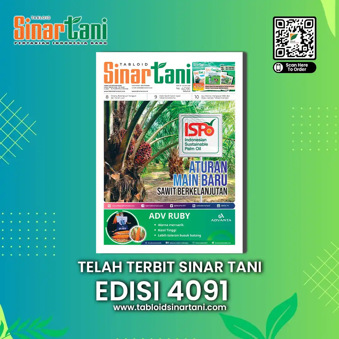 Image from Tabloid Sinar Tani: 📢 TABLOID SINAR TANI EDISI 4091 TELAH TERBIT! 🌴 Tajuk Utama: “Aturan...