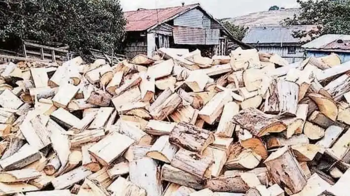 Image from ContratistasForestalesAG: *Advierten caída del 40% en venta de leña certificada en Ñuble* Una f...