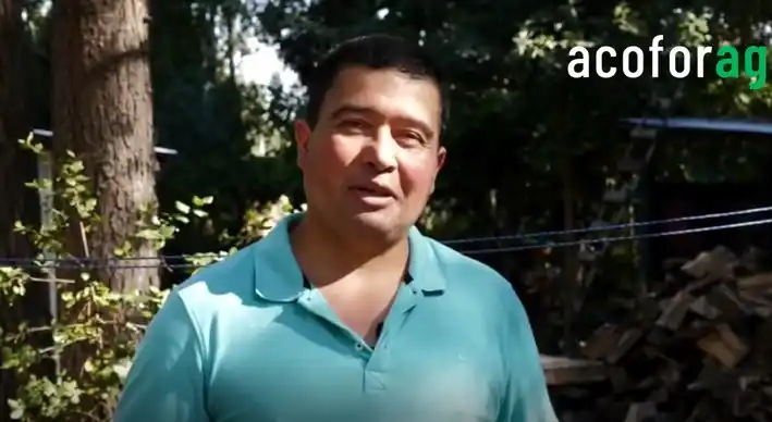 Image from ContratistasForestalesAG: *Apicultura con raíces en el bosque: la historia de Patricio Quilodrán...
