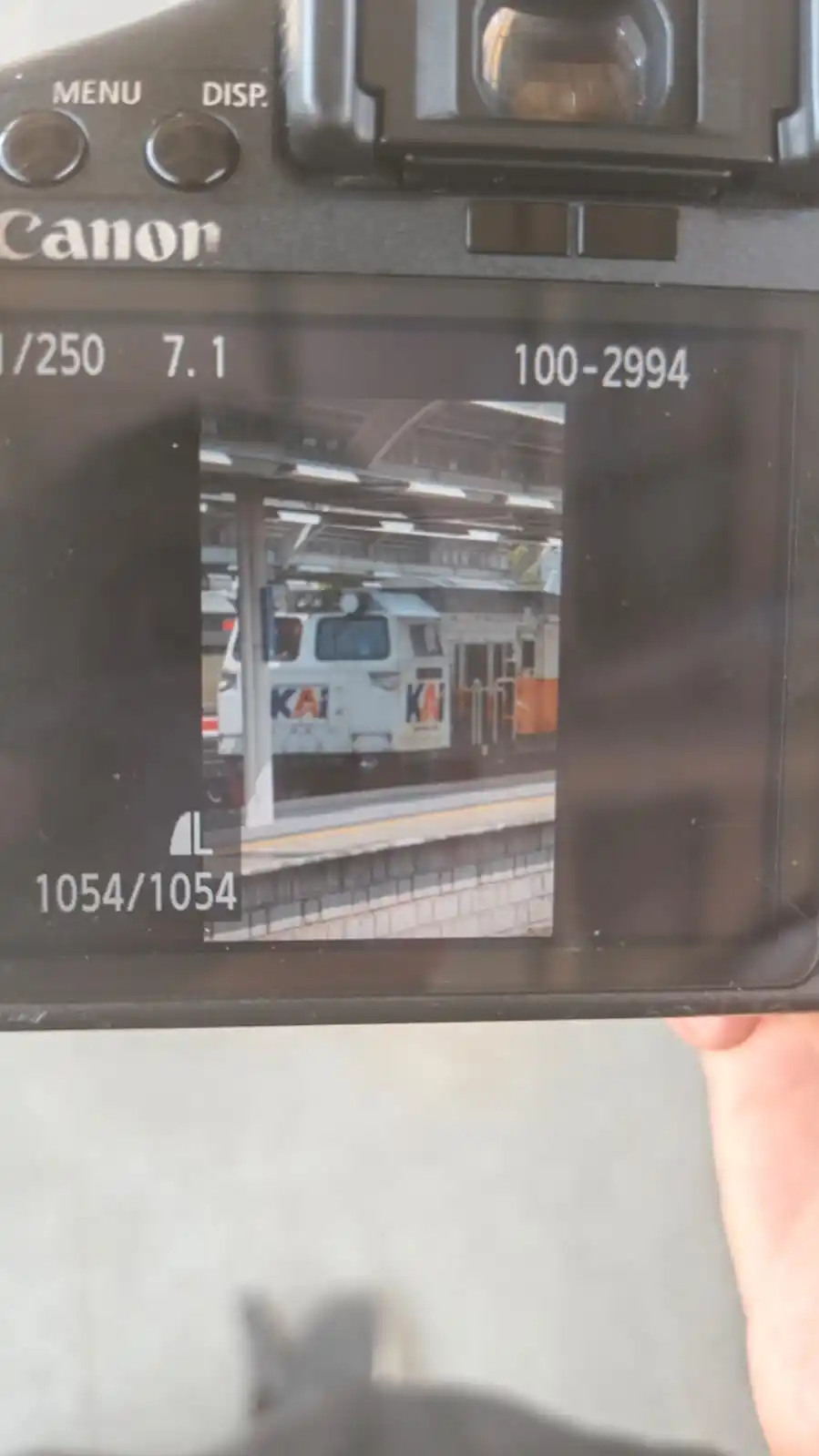 Image from ISKAI (Info dan Sensus Kereta Api Indonesia): CC 206 13 23 PWT / 40 Sembrani Ls JNG 10:31 @Toge  <a class="text-blue...