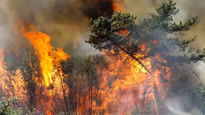 Image from ContratistasForestalesAG: *Ejecutivo califica de “aceptable” temporada de incendios, aunque busc...