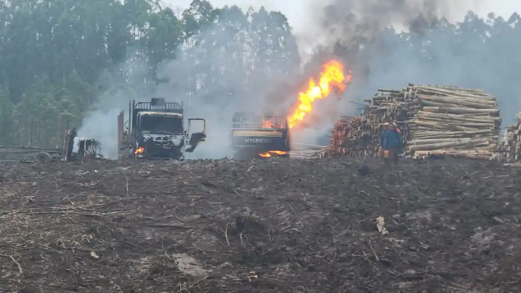 Image from ContratistasForestalesAG: *El miedo entre fuego y armas que deja cicatrices en los trabajadores ...
