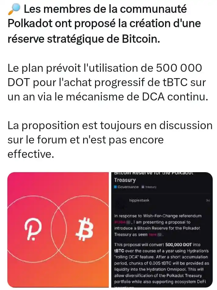 Image from CRYPTOMONNAIES ET INVESTISSEMENTS ©: 🔎 Les membres de la communauté Polkadot ont proposé la création d'une...