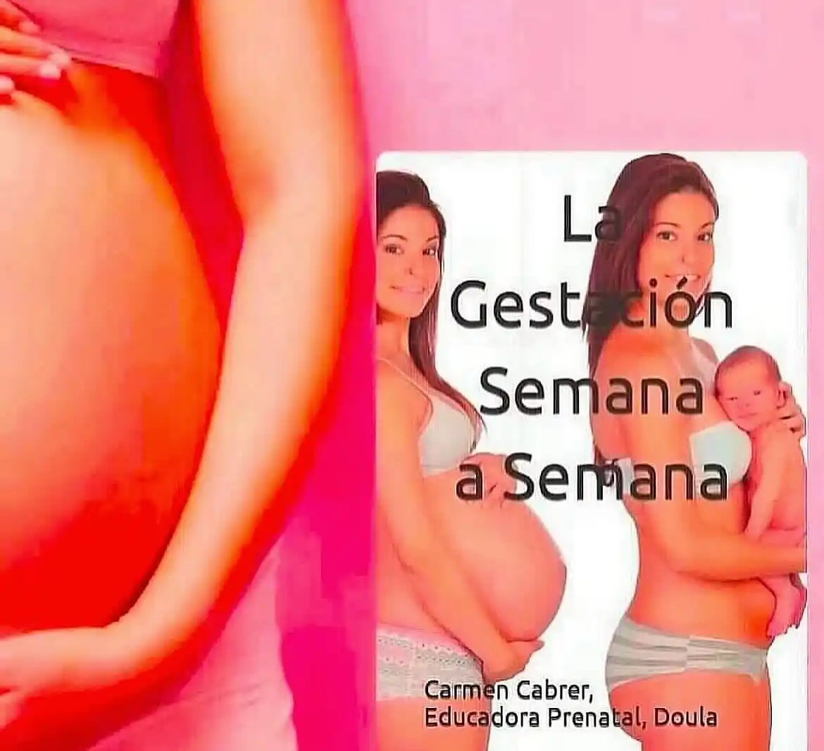 Image from Lacted: Libro: “La Gestación Semana a Semana”- Es una guía de embarazo que res...