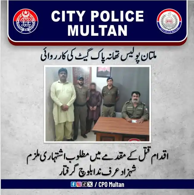 Image from پاسبان ملتان نیوز چینل: ملتان تھانہ پاک گیٹ پولیس کی کارروائی: اقدام قتل کے مقدمے میں مطلوب اش...