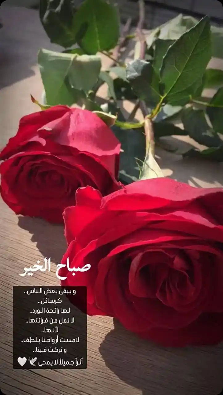 Image from اقتباسات💛Abd: <a class="text-blue-500 hover:underline cursor-pointer" href="/hash...