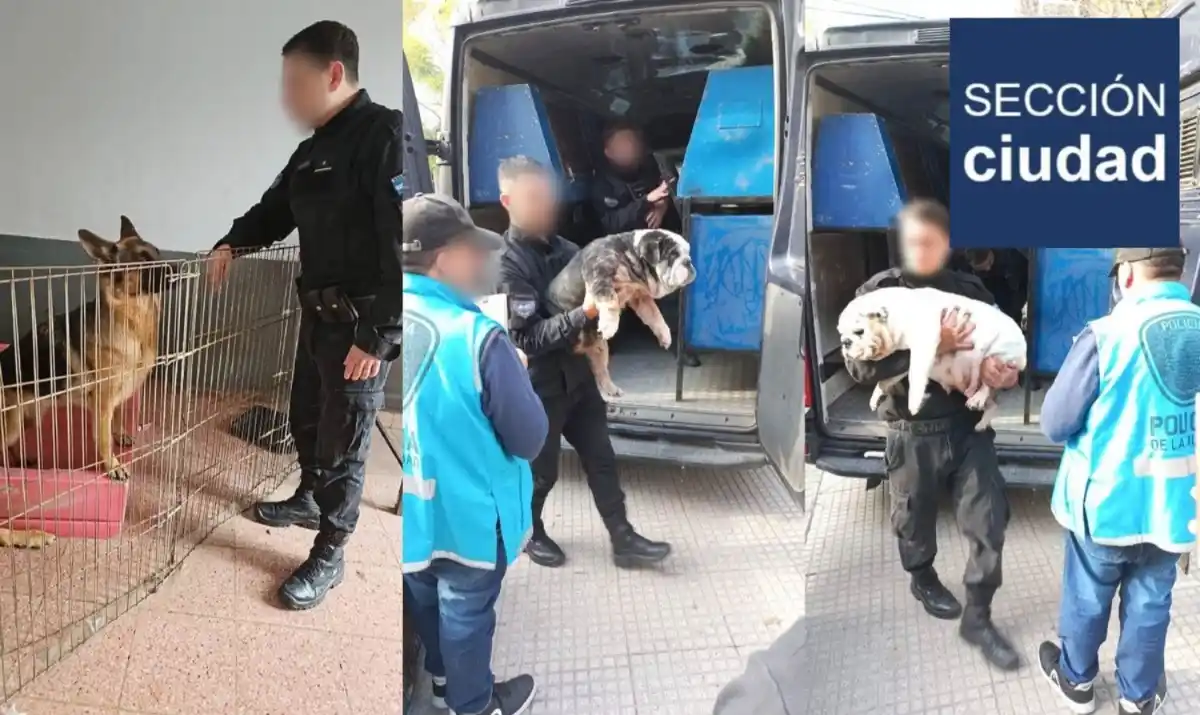 Image from Sección Ciudad: *VILLA URQUIZA* 🚨 *Rescatan 13 perros y un loro de un criadero ilegal...