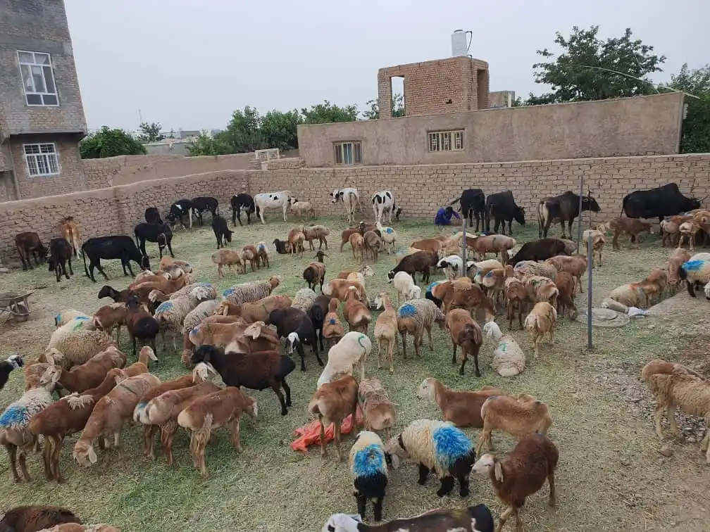 Abdul Sammad Kazizada post