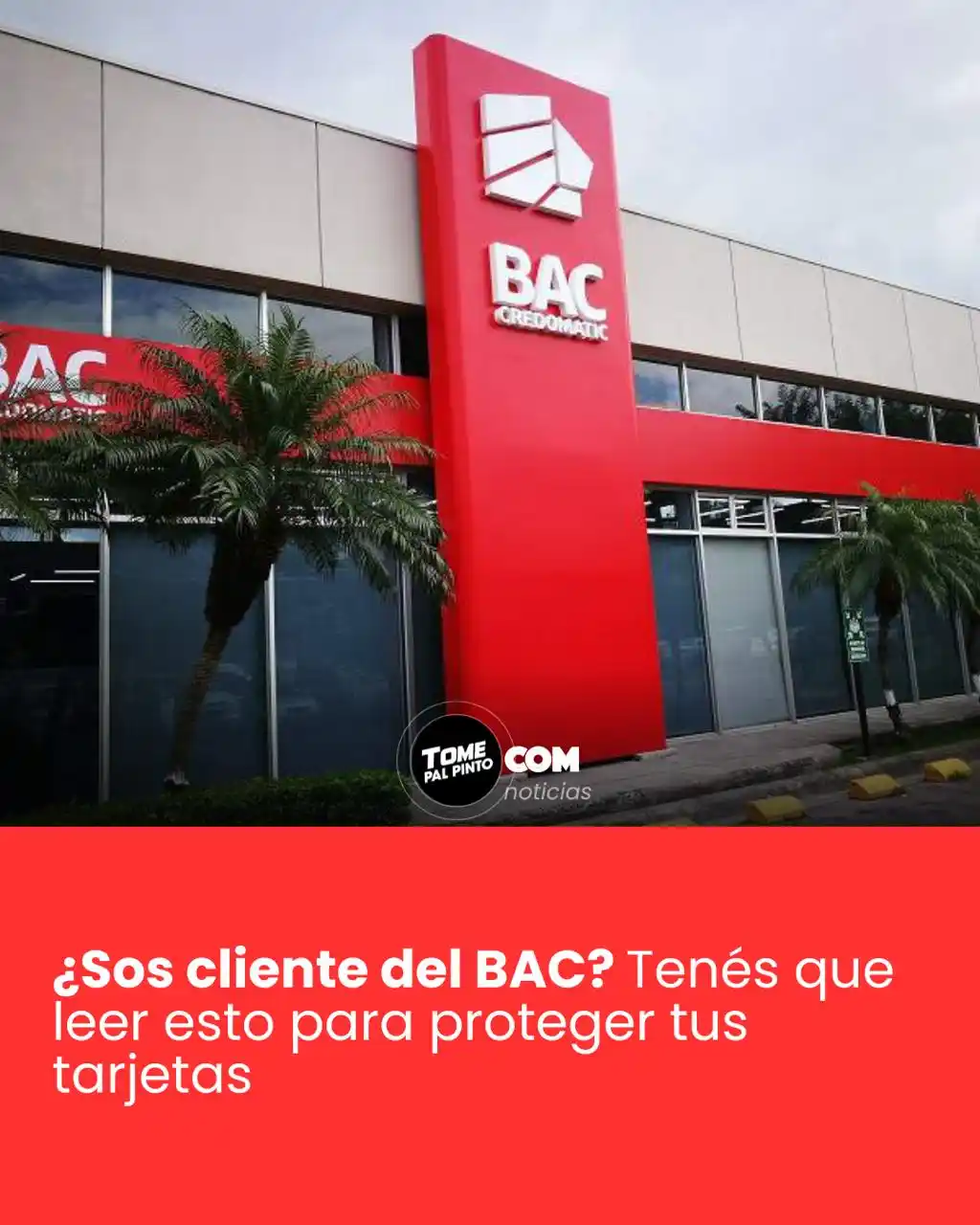 Tome pal pinto  post