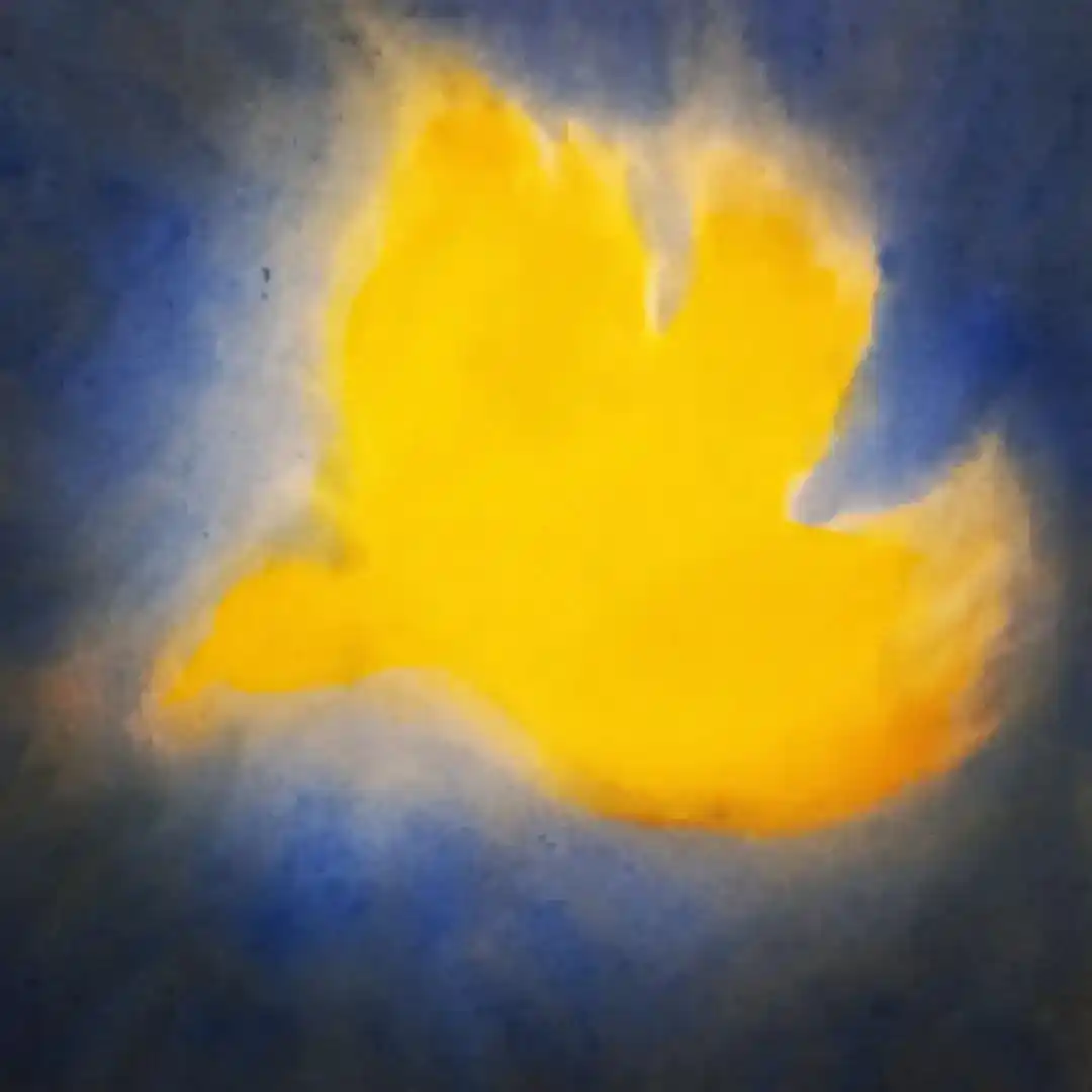 Image from MikaelarcangelespiritudelTiempo2024: Vivir En y Para el Amor, despertemos al Amor ! Este el estado de excep...