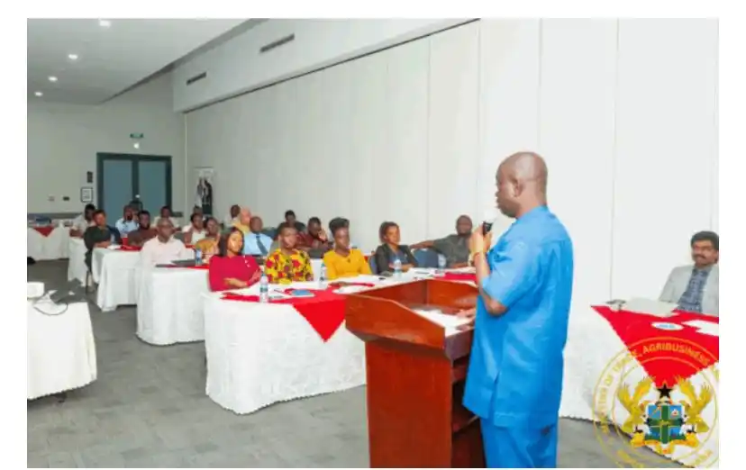 The African Wave  post