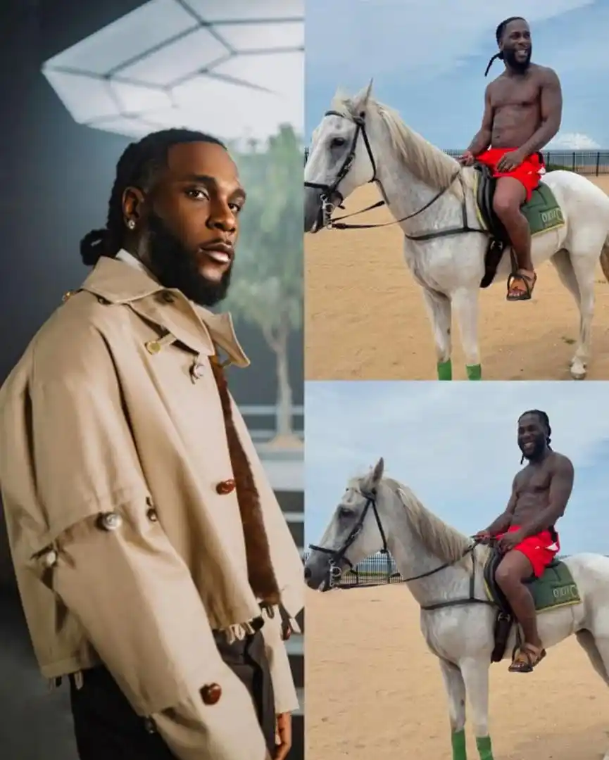 Image from AYOLO STORY TELLER & UPDATES 🤣: 🤣💀 “Since Una Say I Dey Waste Money on Cars… Na Horse I Go Dey Ride ...