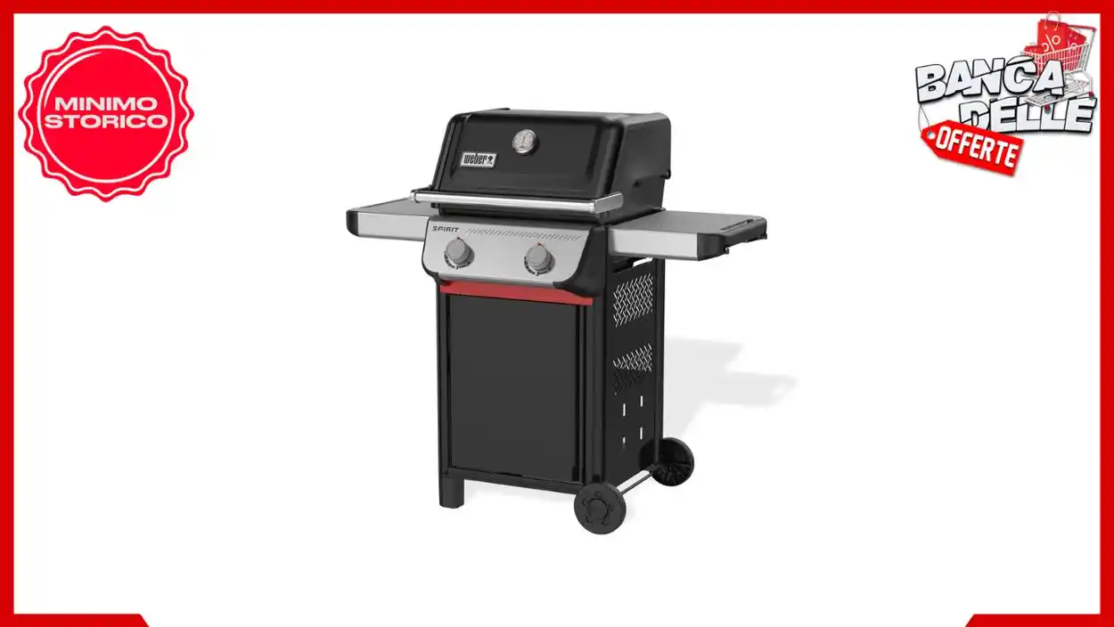 Image from Banca delle Offerte: *🌱 Weber Spirit E-210 Barbecue a Gas, 2 bruciatori, 51 x 46 cm Superf...