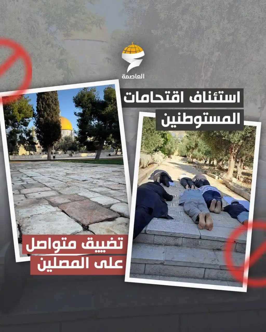 Image from شبكة العاصمة الإخبارية: أعاد الاحتلال فتح أبواب الأقصى أمس عقب إغلاق استمرّ 6 أيام متواصلة بذر...