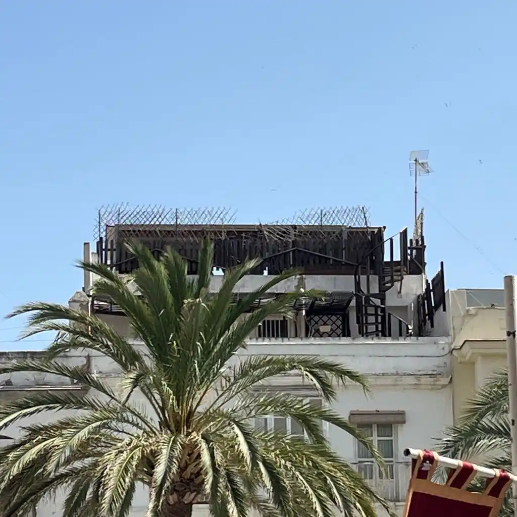 Image from Cádiz Abandonada: 🚧 Denuncian el nefasto efecto visual que ocasiona un recrecimiento vo...