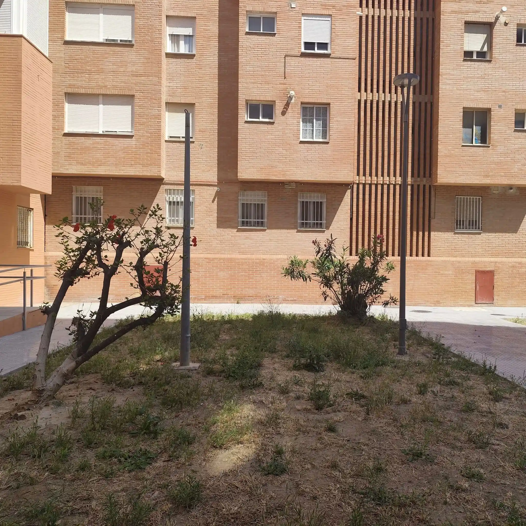 Image from Cádiz Abandonada: 🌱 Denuncian la ausencia de labores de jardinería en parterres del Gru...